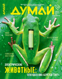 "ДУМАЙ".